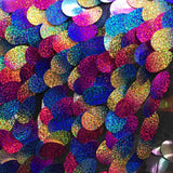 Multi Color Big Dot Large Paillette Sequin on Mesh Fabric