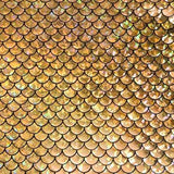 Gold Mermaid Fish Scale