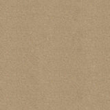 Khaki Anti Pill Solid Fleece Fabric