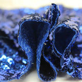 Royal Blue Seaweed Glitz Sequin Mesh Fabric