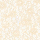 Ivory Raschel Lace Fabric